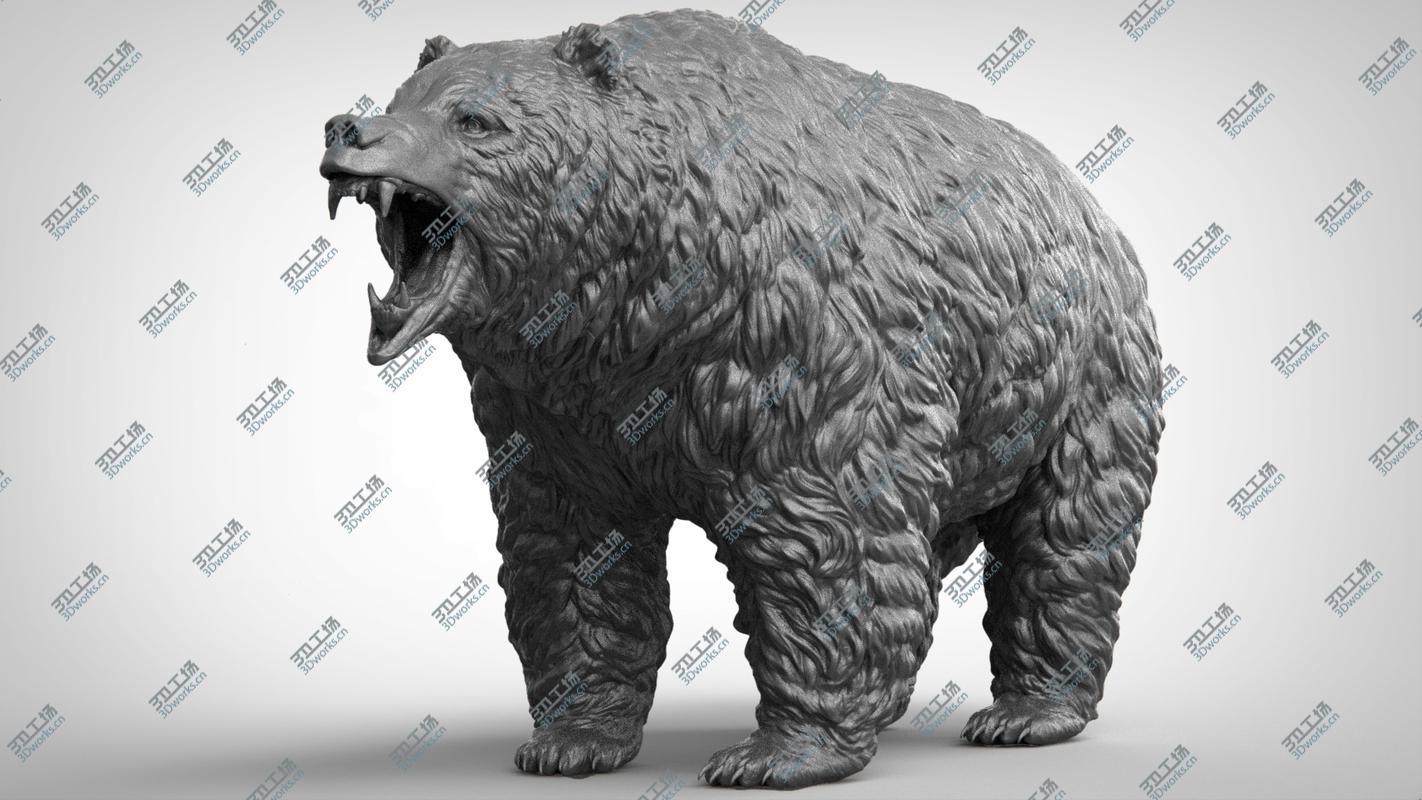 images/goods_img/202104094/Bear Realistic 3D model/4.jpg